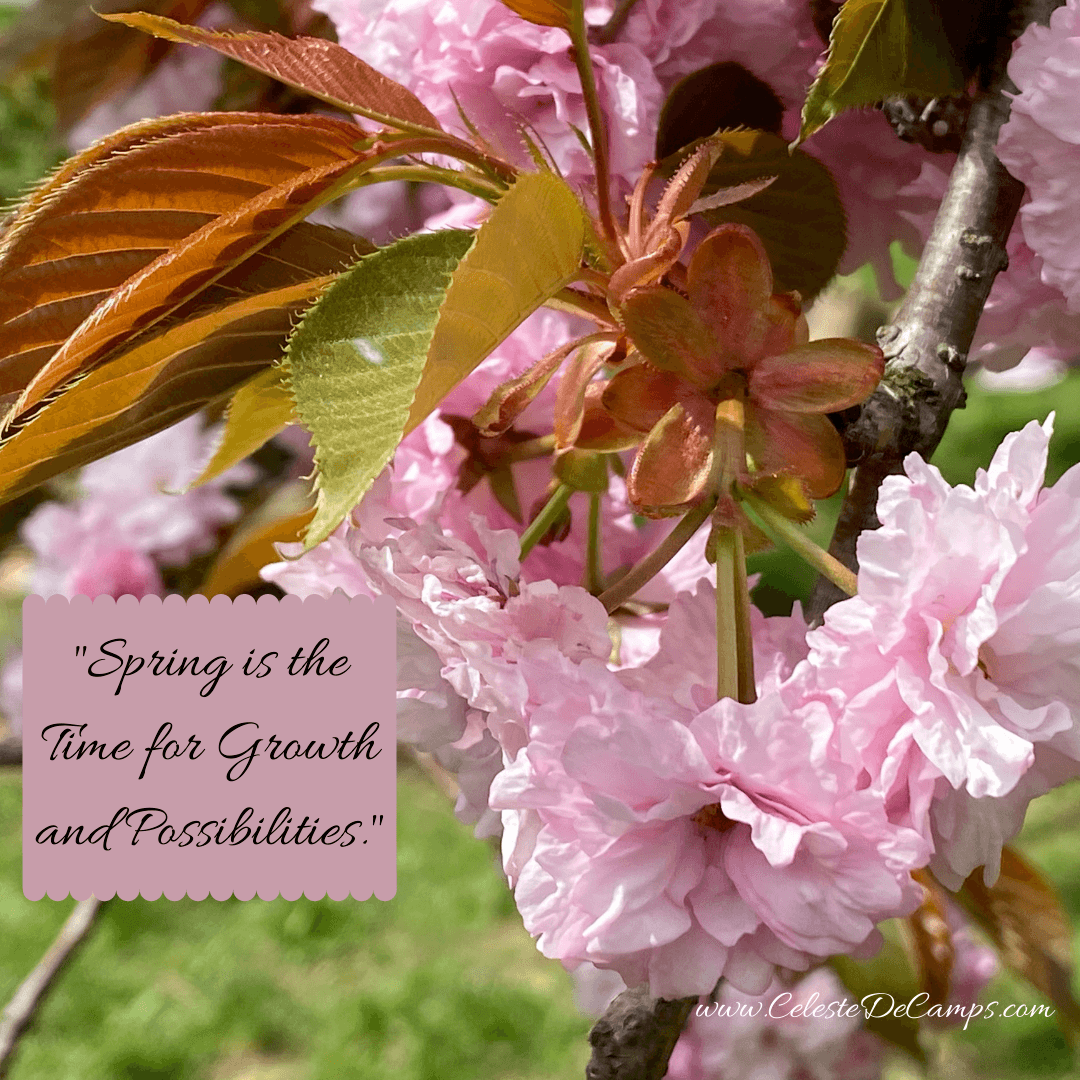 "Spring is the time for growth and possibilities."